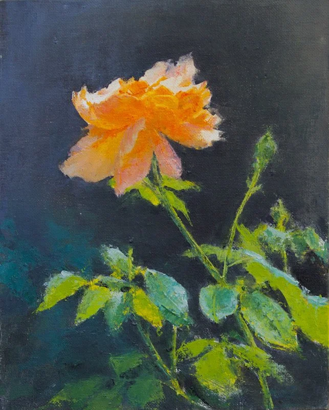 Shuli Wang, Sun Kisses Petals, Affordable Works Online — AAPL